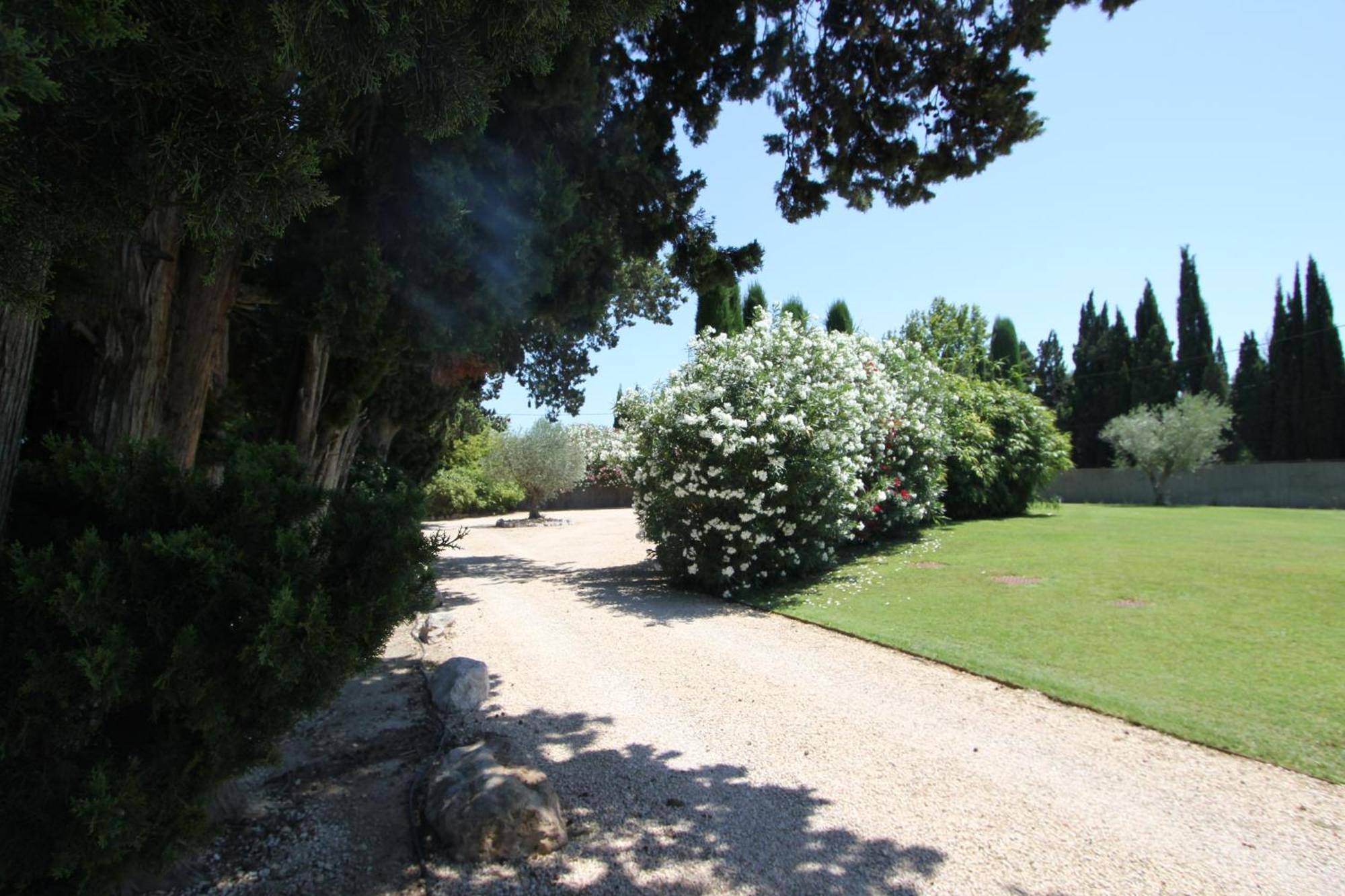 Mas Paloma Bed & Breakfast Rognonas Bagian luar foto